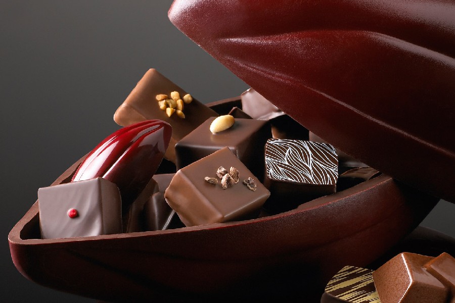 В каждом магазине вас спросят: какой вы шоколад? И посоветуют, что выбрать – шоколад «страсть» с экзотическими начинками и перцем, малиной и шоколадным муссом, засахаренные фрукты или пралине, а может, ганаш или глазурованные шоколадом каштаны