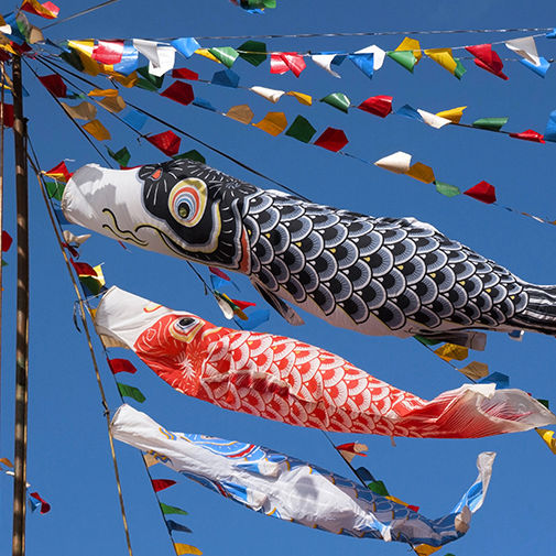 Рыбный фестиваль «Кинго Мацури»