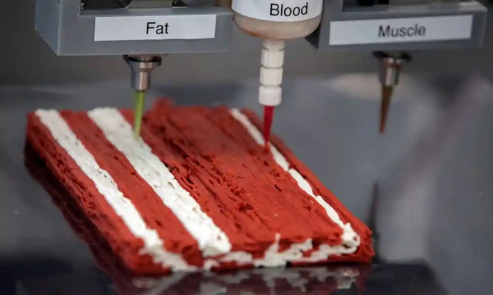 3-D печатное мясо Perfecta появилось в американских магазинах